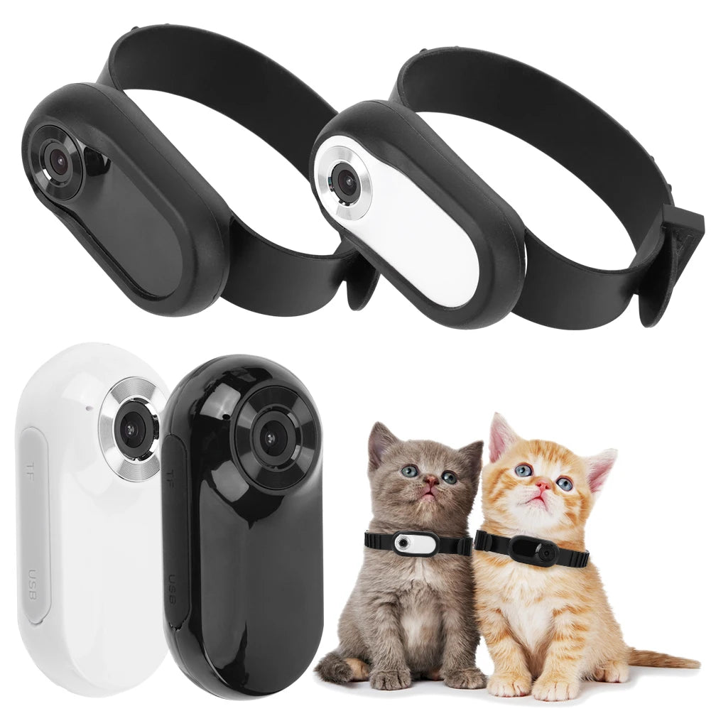 Huxley and Friends™  HD Pet Dog/Cat Collar Camera